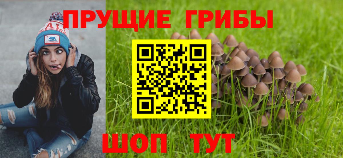 купить наркотик  Галлюциногенные грибы мицелий  Галлюциногенные грибы MAGIC MUSHROOMS  Вход с VPN  Звенигород 